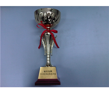 2010 Minth Group Supplier Progress Award